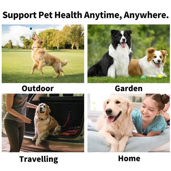 Pet Fresh Breath Wipes